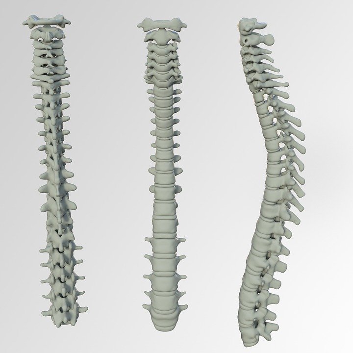 columna-vertebral-escoliosis